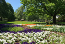 Philipp, Hannes, Tilda mit ihren Mamas sind die ersten Besucher der Gartenschau 2020