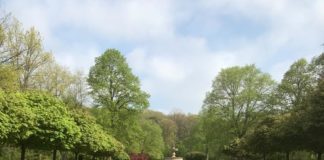 Sondereinfahrtszeiten für den Hauptfriedhof über Pfingsten