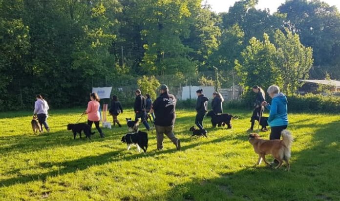 Hundesportabteilung der SG Eintracht