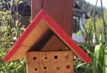 Summ summ summ – Bienchen summ herum