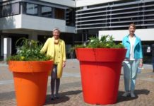 Da grünt und blüht es weit und breit – Stadtbildpflege stellt Pflanzkübel auf