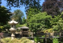 Die Zukunft des Japanischen Garten hängt am seidenen Faden