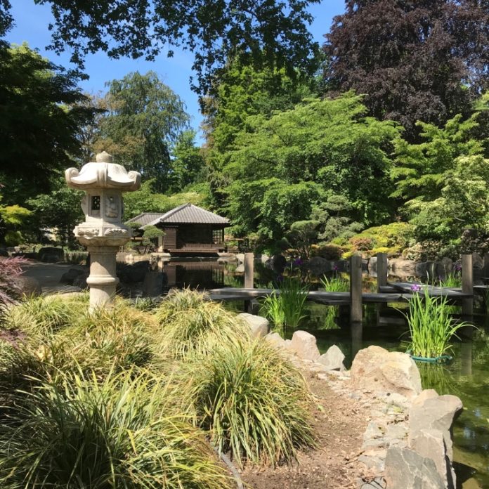 200602_Japanischergarten 03