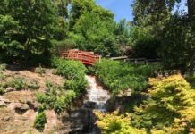 Wieder Waldbaden im Japanischen Garten