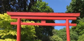 Cosplay-Tage im Japanischen Garten Kaiserslautern am 09. & 10. August 2025