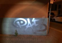 Garage und Hauswand mit Farbe besprüht