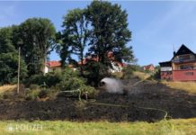 Umgestürzter Baum löst Kettenreaktion aus