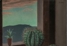 Kakteen-Stillleben – Gespräch in der Ständigen Sammlung des mpk