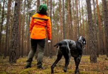 Klimageschädigter Wald: Mehr Forstpersonal in der Pfalz gefordert
