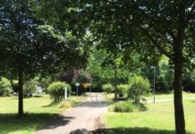 Bau von Regenrückhaltebecken beginnt – Vorübergehend Teilsperrung der Parkanlage „Grüner Winkel“