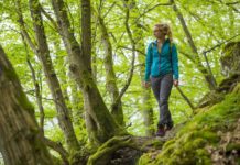 Deutsche Waldtage – Auf Luchsspur bei Johanniskreuz