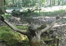 Christusfigur aufgefunden, Eigentümer gesucht