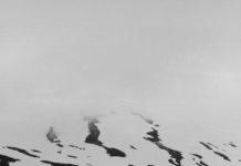 Abendspaziergang im mpk – Gespräch in der Ausstellung „de natura“ des mpk