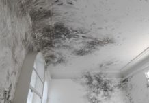 Fünf Himmelsrichtungen – Gespräch über Julia Steiner in der Sonderausstellung des mpk