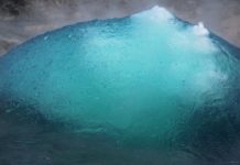 Zwischen Geysir und Gletscher – Gespräch in der Ausstellung „de natura“ des mpk