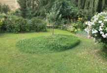 Der Waldgarten – Veranstaltung im Projekt „Gärten für die Artenvielfalt – Jardiner pour la biodiversité“