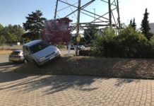 Schattige Parkplätze sind gefragt