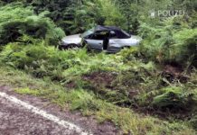 Spinne löst Unfall aus