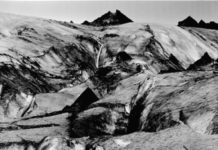 Landschaft in der zeitgenössischen Kunst – Gespräch in der Ausstellung „de natura“ des mpk