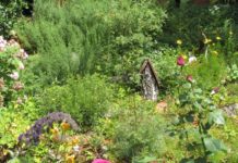 Gärten für die Artenvielfalt prämiert – Garten aus Mölschbach mit dabei
