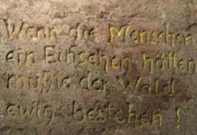 Mehr als 2.100 Unterstützer gegen Windkraft im Otterberger Wald