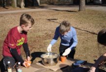 Noch freie Plätze in den Junior Ranger Camps – Herbstferien für Entdeckerinnen und Entdecker