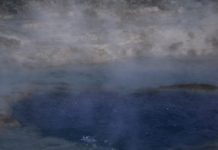 Kunst ohne Mensch – Gespräch über Landschaftsbilder in der Ausstellung „de natura“ des mpk