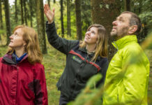Förstertouren um Johanniskreuz