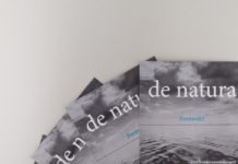 Ein Fernweh geht auf Reisen – Postkartenaktion des mpk zur Ausstellung „de natura“