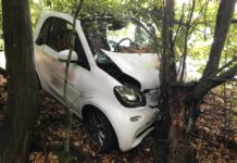Unfall mit Lieferauto – Gegen Baum gefahren