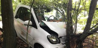 Unfall mit Lieferauto – Gegen Baum gefahren
