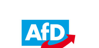 „Nachwahl von Vorstandsmitgliedern“