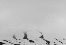 Licht und Bewegung – Gespräch in der Ausstellung „de natura“ des mpk