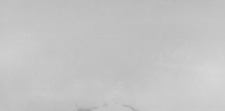 Licht und Bewegung – Gespräch in der Ausstellung „de natura“ des mpk