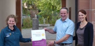 Frisch, kreativ, aus der Region