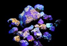 Von der Mikroskala zur Landschaft: Wie Mikroorganismen die Atacama Wüste verändern