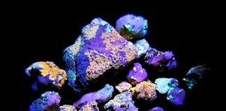 Von der Mikroskala zur Landschaft: Wie Mikroorganismen die Atacama Wüste verändern