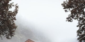 „T-Lab Campus Diemerstein“: Die angewandte Holzbauforschung an der TUK erhält jetzt zusätzlichen Entwicklungsraum