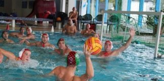 Krokodile werden beim Neustart Zweiter