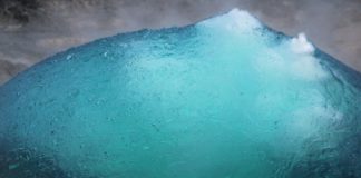 Die Schönheit der verlangsamten Welt – „Klangfarben“-Veranstaltung der Freunde des mpk