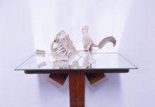 Wunderdinge und Seltsames – Ausstellung „Mirabilia“ in der Pfalzbibliothek Kaiserslautern