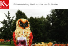 Hans geht in den Wald der Gartenschau – Ein Tip im Oktober