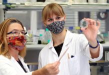 Impulsgeber für medizinischen und biotechnologischen Fortschritt: Sind Blaugrünalgen die kleinen Superstars von morgen?