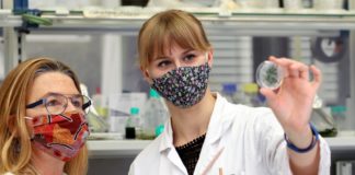 Impulsgeber für medizinischen und biotechnologischen Fortschritt: Sind Blaugrünalgen die kleinen Superstars von morgen?