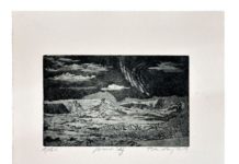 Faszination Island – Gespräch in der Ausstellung „de natura“ des mpk