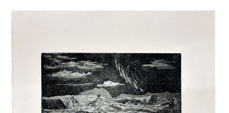 Faszination Island – Gespräch in der Ausstellung „de natura“ des mpk