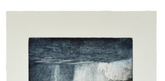 Dreimal Island zum Abschluss – Familienführung und Kurzgespräche in der Ausstellung „de natura“ des mpk