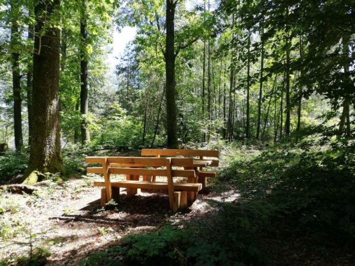 Sternenwandelweg_Lemberg