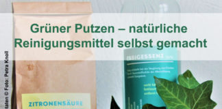 Grüner Putzen – natürliche Reinigungsmittel selbst gemacht