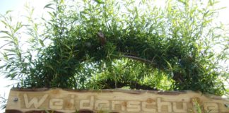 Absage: Weihnachtsgottesdienst in der Weidenkirche auf der Gartenschau Kaiserslautern